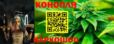 каннабис Будённовск