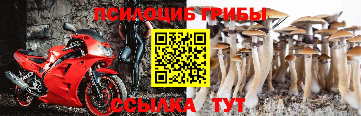 Курганинск  Галлюциногенные грибы MAGIC MUSHROOMS  Вход с VPN  Псилоцибиновые грибы MAGIC MUSHROOMS 